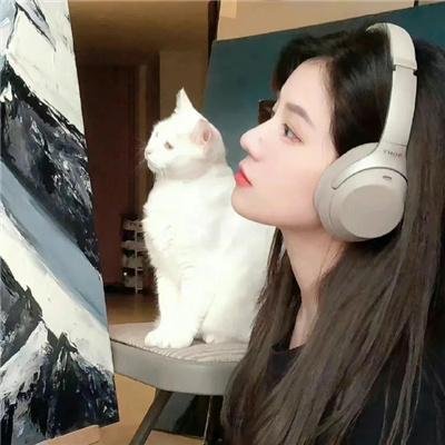绅士愿望